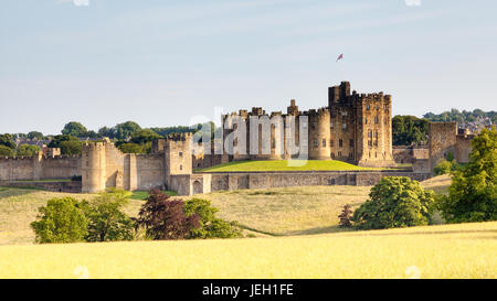 Château d'Alnwick, Northumberland situé dans le Nord de l'Angleterre. Le château médiéval a été utilisé dans de nombreux films, dont les films de Harry Potter. Banque D'Images