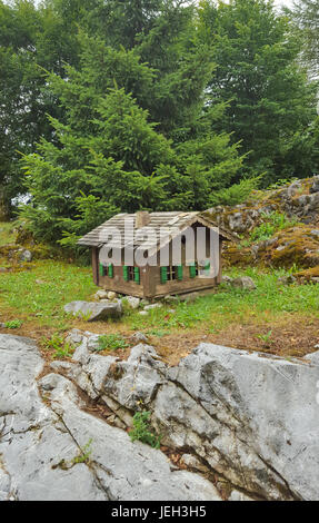 Chalet isolé dans les bois Banque D'Images