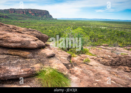 Vue depuis le belvédère Nadab, à l'autochtone sacré site d'Ubirr. Le Kakadu National Park, Territoire du Nord, Australie Banque D'Images