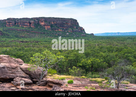 Vue depuis le belvédère Nadab, à l'autochtone sacré site d'Ubirr. Le Kakadu National Park, Territoire du Nord, Australie Banque D'Images