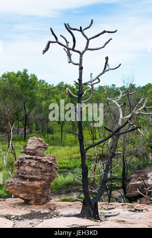 Vue depuis le belvédère Nadab, à l'autochtone sacré site d'Ubirr. Le Kakadu National Park, Territoire du Nord, Australie Banque D'Images