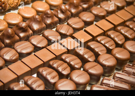 Variété de chocolat suisse fait main Banque D'Images