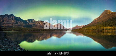 Aurora Borealis vert s'allume la nuit par une nuit claire au haut de la route Lake à Moose Pass, le centre-sud de l'Alaska ; Alaska, États-Unis d'Amérique Banque D'Images