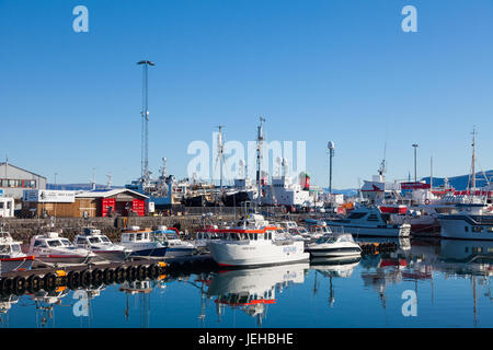 Scène colorée dans le vieux port de Reykjavik Banque D'Images