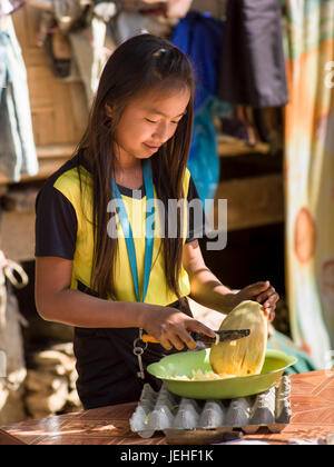 Une jeune fille se tient la coupe d'un morceau de fruit, Kamu village ; Tambon Po Chang, Wat Chiang Rai, Thaïlande Banque D'Images