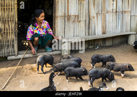 Une femme assise sur le pas de sa maison, l'alimentation d'un conduit de porcelets, Province de Luang Prabang, Laos Banque D'Images