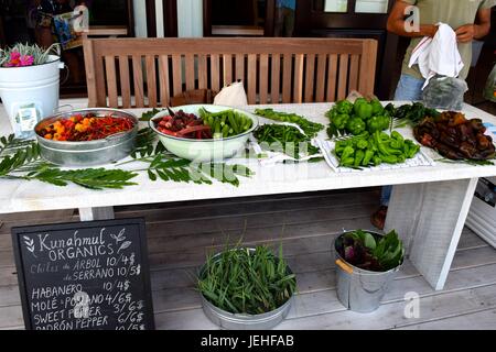 Décrochage du marché biologique sur Ambergris Caye, Belize Banque D'Images