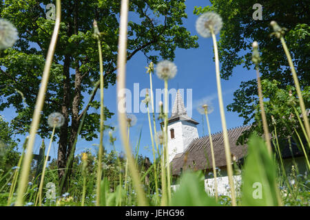 Kassari chapelle par blowballs pissenlit. Comté de Hiiu, Estonie Banque D'Images