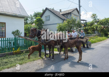 Horseshoe typique wagon avec des poulains dans une rue de la ville de Solotvino en Ukraine Banque D'Images