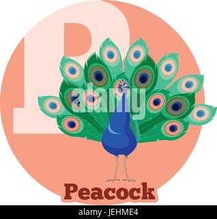 ABC Cartoon Peacock Illustration de Vecteur