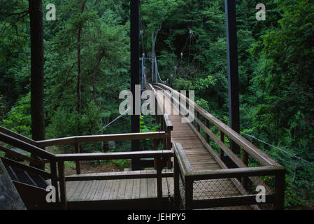 Pont suspendu, parc national des Gorges de Tallulah, Géorgie Banque D'Images