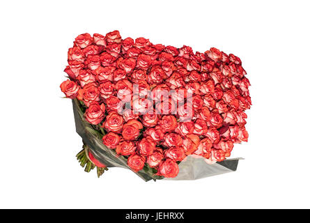 Gros bouquet de plus d'une centaine de roses rouges rayés blanc isolé sur fond blanc. Banque D'Images