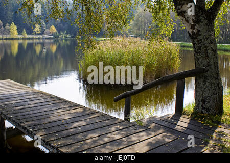 Gellsee, moor Lake dans la région de Styrie, Autriche Banque D'Images