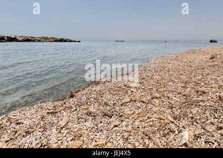 Paysage dans l'été dans l'île de Tabarca, province d'Alicante, Espagne Banque D'Images