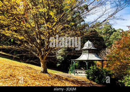 Jardins de Pirianda en automne, chaîne des Dandenong près de Melbourne, Victoria, Australie Banque D'Images