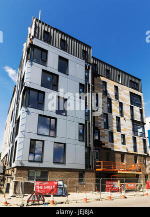 Newcastle sur Tyne, Royaume-Uni, le 25 juin 2017. Le même parquet qui conduit à l'escalade de la tour de Grenfell, tragédie est utilisée dans les appartements à Newcastle upon Tyne. Joseph Gaul/Alamy Live News.fire hazarl Banque D'Images