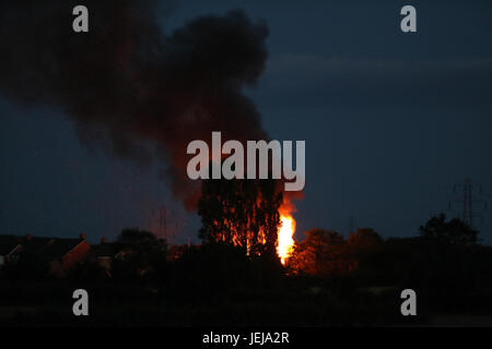 UK. 25 Juin, 2017. Grand feu à l'avant des maisons, de grands arbres d'un crédit de développement : Jamie Tyerman/Alamy Live News Banque D'Images