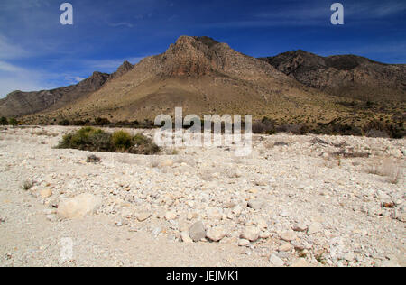 Guadalupe Mountains National Park dans l'état du Texas Banque D'Images