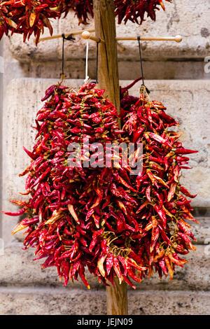 Paprika poivre dans bunchs Banque D'Images