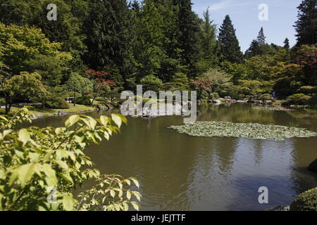 Jardin japonais, Arboretum de Seattle Banque D'Images