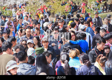 BEIJING-MAI 21, 2013. Foule au parc Yuyuantan. La population chinoise est de 1 393 783 836 au 1er juillet 2014, soit 19,24 % du total mondial. Banque D'Images