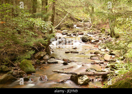 La rivière Ilse dans le Parc National de Harz Banque D'Images