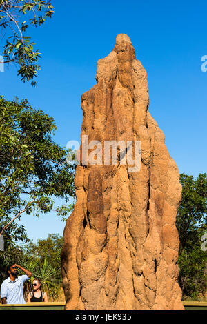 Termitière Cathédrale, Litchfield National Park, Territoire du Nord, Australie. Banque D'Images