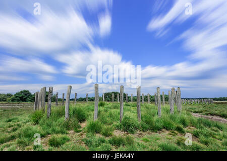 L'exposition à long shot de Landes avec anciens tumulus funéraires et dramatique nuages, les Pays-Bas Banque D'Images