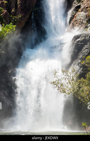 Wangi Falls durant la saison humide, Litchfield National Park, Australie Banque D'Images