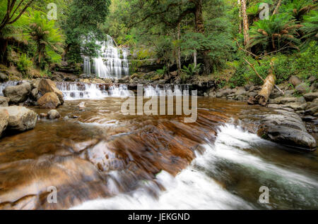 Liffey Falls, Great Western Tiers, Tasmanie, Australie Banque D'Images