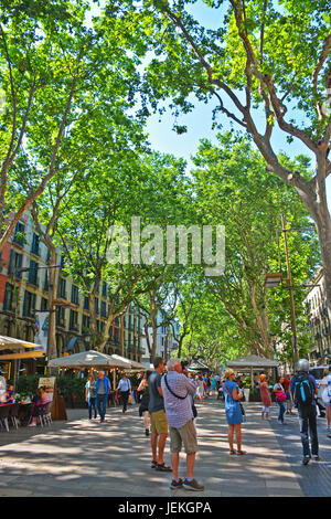 L'avenue des Ramblas, Barcelone, Espagne, Catalona Banque D'Images