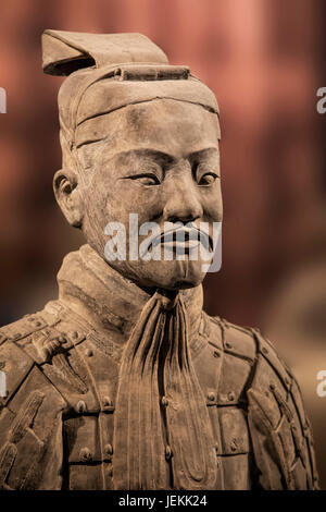 L'Armée de terre cuite pièce exposée au Musée d'histoire de Shaanxi. Xian. Chine Banque D'Images