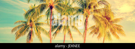 Groupe de palmiers, de fond de ciel bleu Banque D'Images