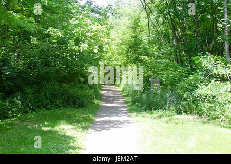 Une journée sur les pistes et la forêt dans le parc. Banque D'Images