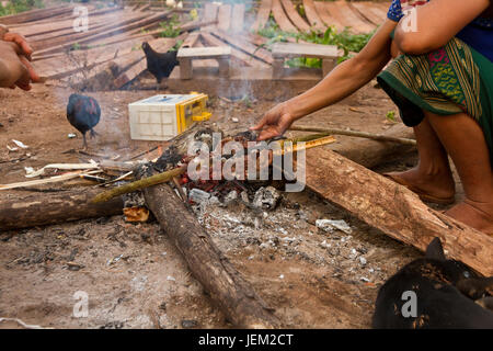 La viande grillée à un vietwater dans un village traditionnel près de Luang Namtha Banque D'Images