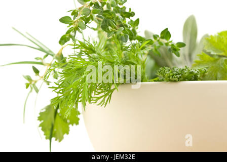 Libre d'une sélection de fines herbes finit aussi par le bord d'un bol de crème (à partir d'un mortier pilon/set). Dil, gondolé persil et thym-citron dans foregr Banque D'Images