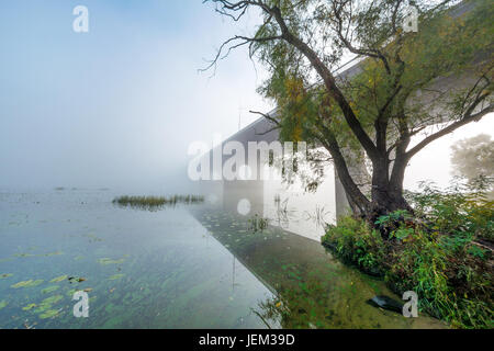 Pont sur la rivière brumeuse. Paysage côtier . Kiev. L'Ukraine. Banque D'Images