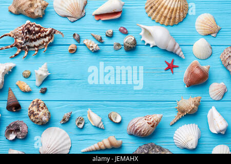 Coquilles de mer autour de la surface de vide. Différents objets de marine bleu sur fond de bois. Banque D'Images