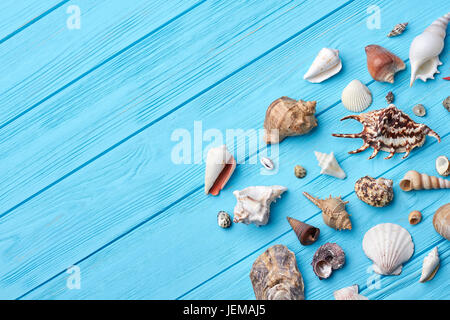 Les coquillages, texturé fond bleu. Objets de Marine voyage sur le tableau peint. La vie encore peu de coquilles de mer. Banque D'Images