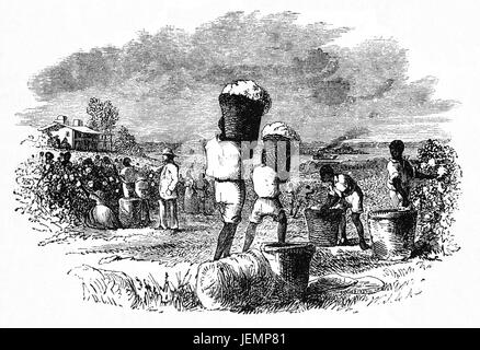 1879 : La récolte du coton, de l'État de Géorgie, États-Unis d'Amérique Banque D'Images