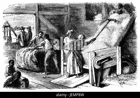 1879 : à l'aide d'un cotton gin, une machine qui sépare rapidement et facilement les fibres de coton à partir de leurs graines, ce qui permet une plus grande productivité que coton manuel, séparation de l'État de Géorgie, États-Unis d'Amérique Banque D'Images