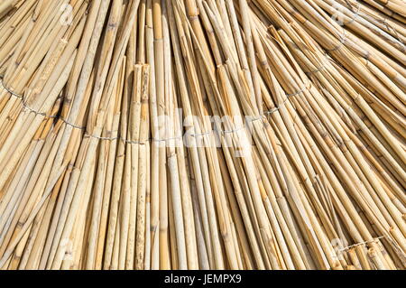 La texture de la paille parasol close up Banque D'Images