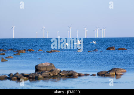 Les éoliennes en mer Banque D'Images