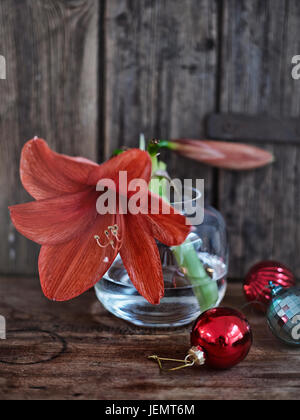 Fleurs dans un vase Banque D'Images