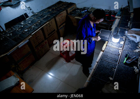 (170626) -- SHAOYANG, 26 juin 2017 (Xinhua) -- héritier Xiao Shihua met en typeheads une plaque dans Village Zhulin, Tantou Ville de Chine centrale, la province du Hunan, le 25 juin 2017. Xiao Shihua, né en 1971, a étudié le type mobile l'impression dans la direction de son père dans son adolescence. L'impression sur bois movable type de ville Tantou commence l'épanouir en période dynastie Ming(1368-1644) dans l'utilisation d'impression d'arbre et les questions agricoles, et graduellement disparu avec le développement de l'ordinateur et l'impression offset. (Xinhua/Zeng Yong) (zwx) Banque D'Images