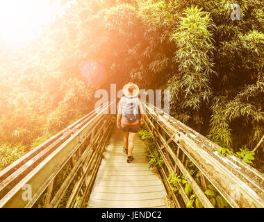 Femme Hiker dans une forêt de bambou, Pipiwai, Maui, Hawaii, États-Unis Banque D'Images