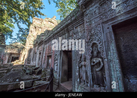 Ta Prohm temple, Angkor Wat, Siem Reap, Cambodge Banque D'Images