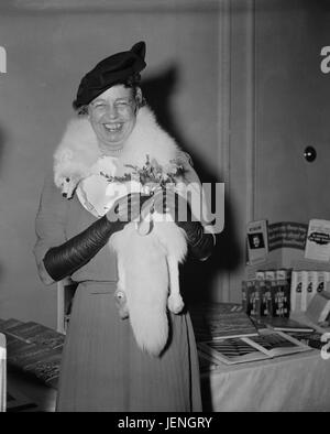 La Première Dame Eleanor Roosevelt étant présenté avec Orchid sur son 55e anniversaire, Washington DC, USA, Harris & Ewing, 11 Octobre 1939 Banque D'Images