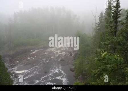 L'épais brouillard blanc fantomatique avance lentement au-dessus des arbres. Banque D'Images