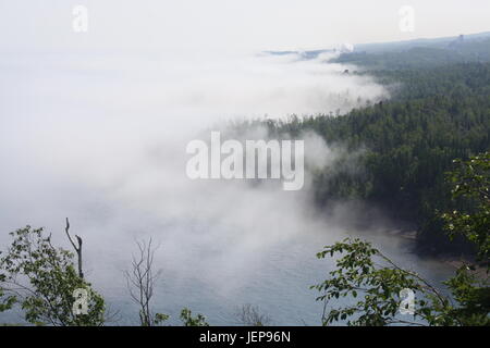 L'épais brouillard blanc fantomatique avance lentement au-dessus des arbres. Banque D'Images